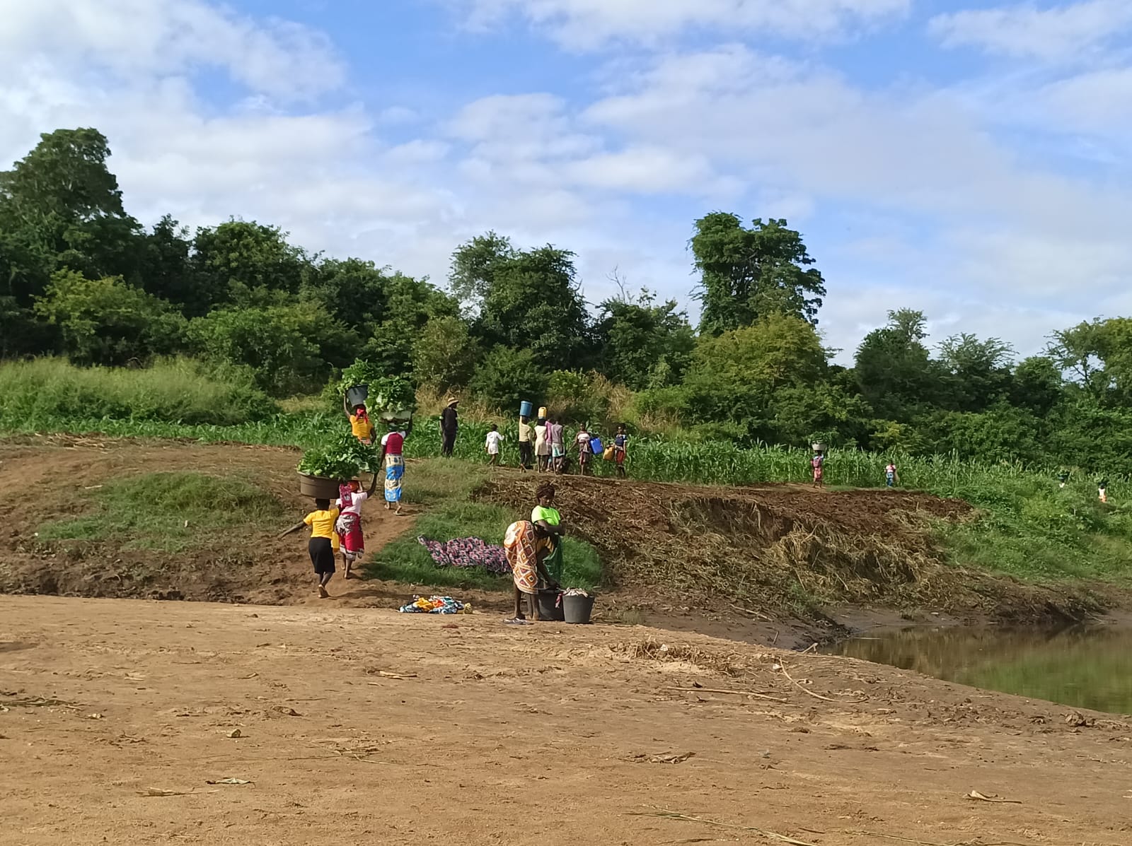 Comunidade em actividade agrícola no campo