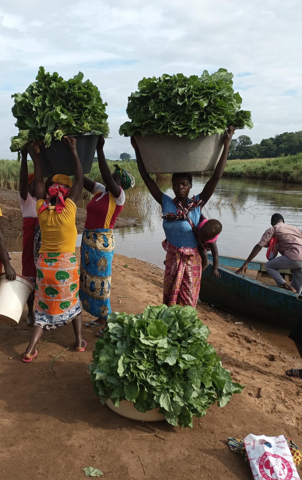 Mulheres a transportar hortícolas junto ao rio