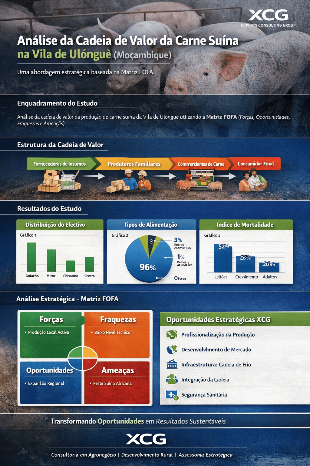 ABORDAGEM DA MATRIZ FOFA NA CARACTERIZAÇÃO DA CADEIA DE VALOR DE PRODUÇÃO DA CARNE SUÍNA: ESTUDO DE CASO: VILA DE ULÓNGUÈ.